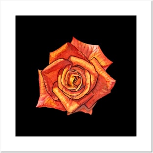 Orange Watercolor Rose Posters and Art